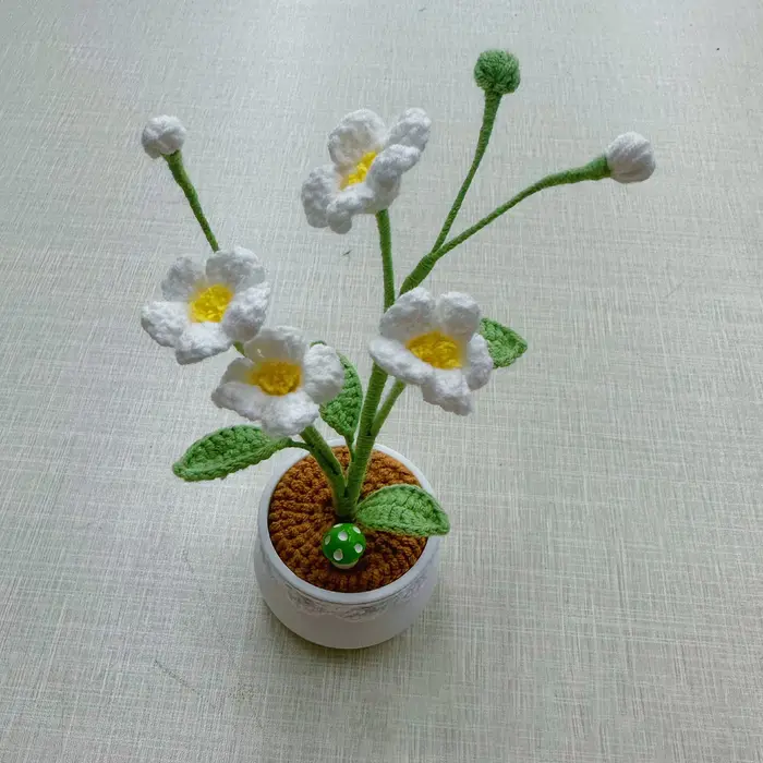 Pot de plante en crochet Oxalis fini à la main, mignon, pour décoration d'étagère ou de chambre