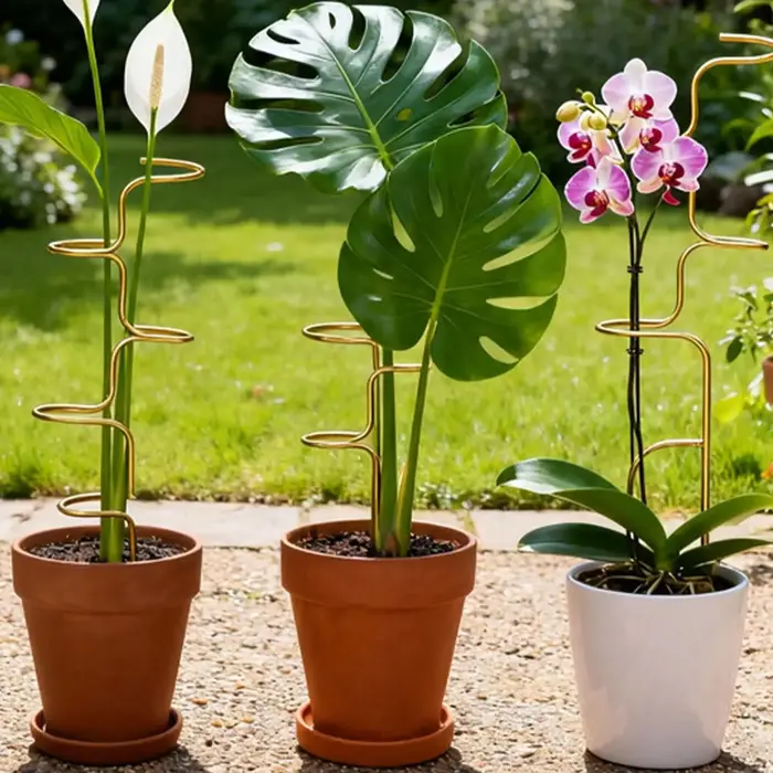 Supports de plantes en métal pour Monstera