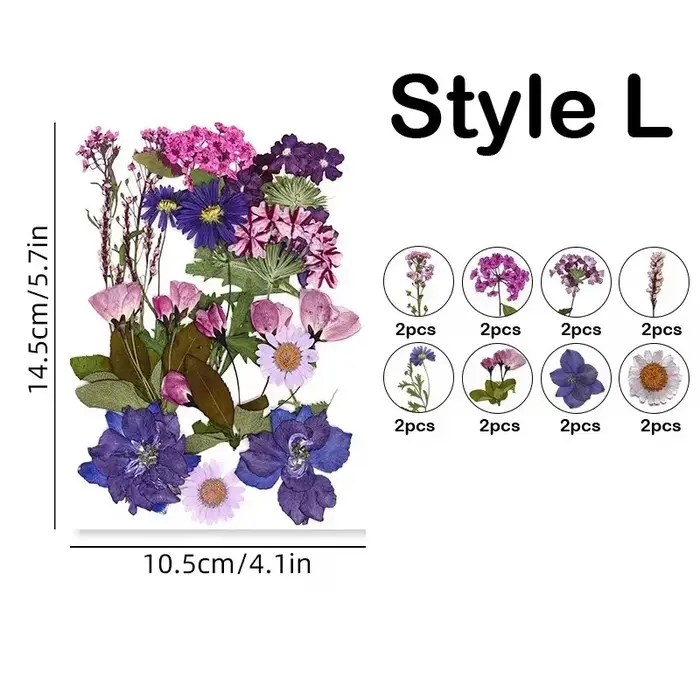 Fleurs séchées pour bricolage