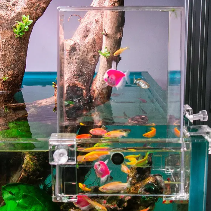 Aquariums pression négative Aquarium clair aérien Aquarium Extender écologique aménagement paysager 