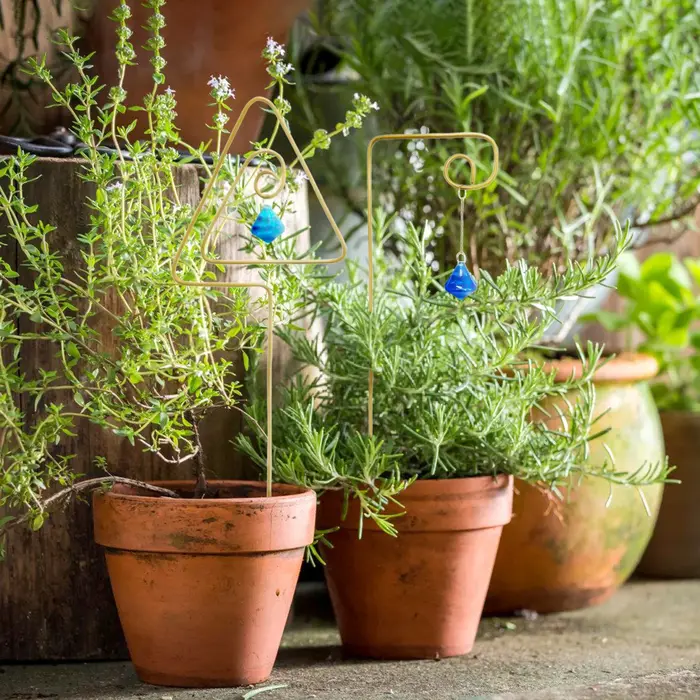 Support en pot pour plantes grimpantes