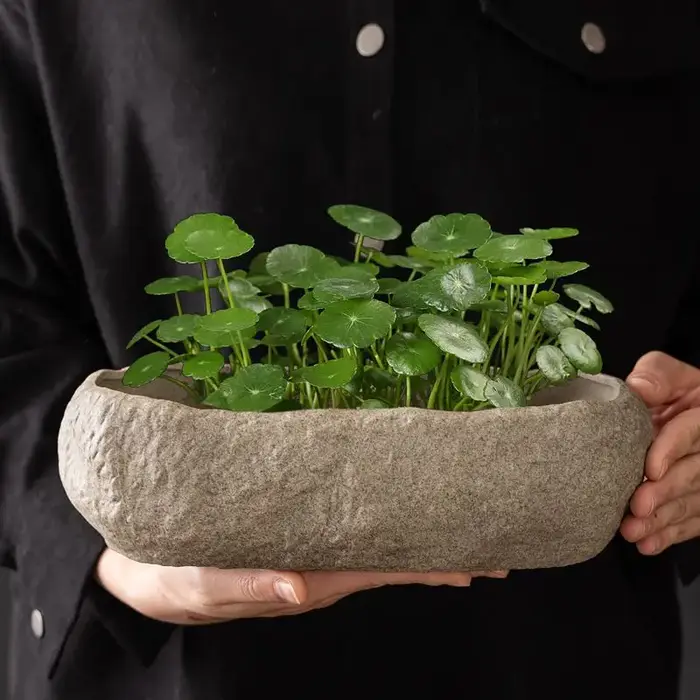 Pots hydroponiques, plantes, pots en céramique rectangulaires de luxe pour l'intérieur, culture hydroponique, pots imitation pierre, décoration intérieure