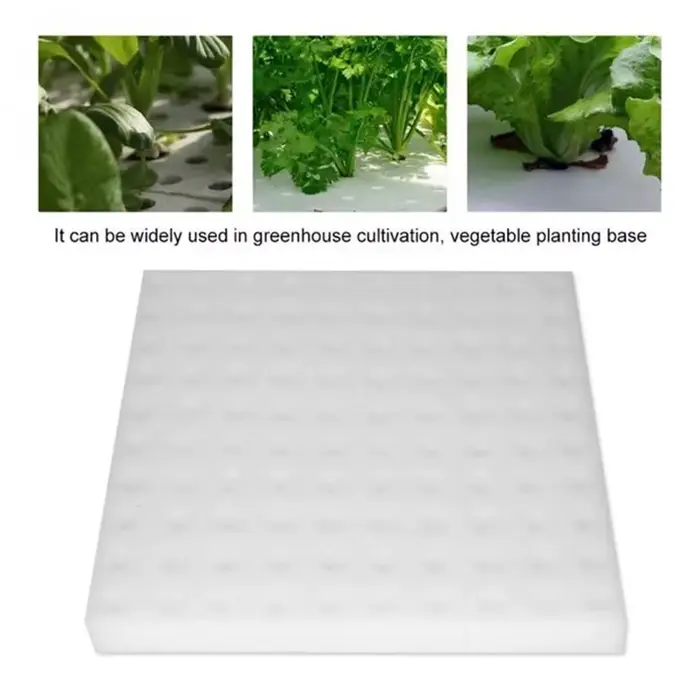 Culture hors sol plantation coton hydroponique semis jardin pépinière éponges plante légumes culture