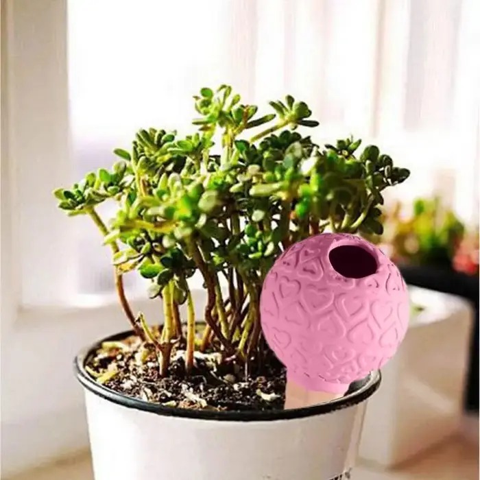 Système de Globes d'arrosage automatique pour plantes