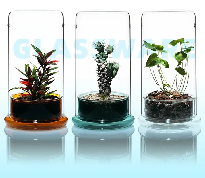 VIV plante Micro paysage
