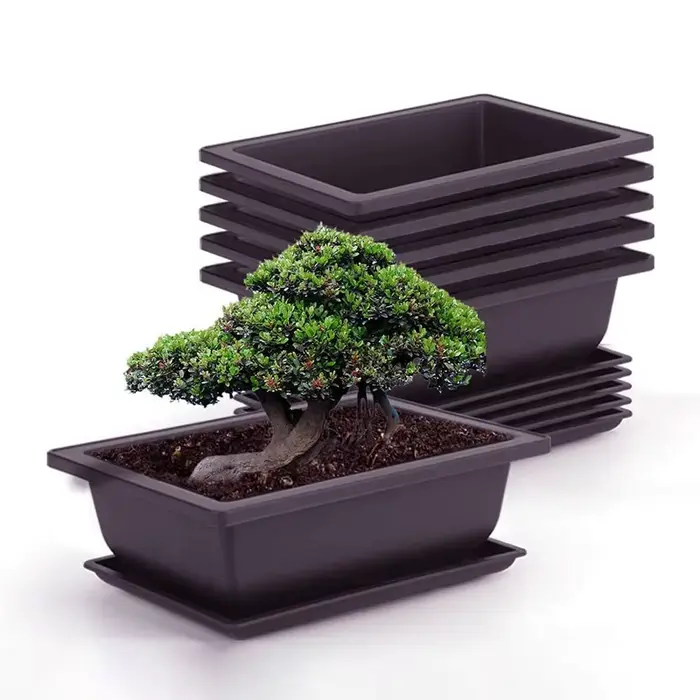Pot à Bonsaï en Plastique Effet Argile Pourpre