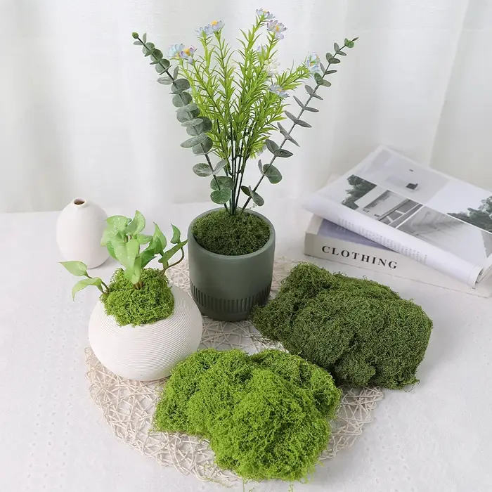 Plantes vertes artificielles