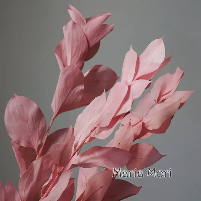 5 pièces/fleur conservée de blanchiment séché feuilles d'orange lys bambou pour arrangement floral fait à la main bureau maison décoration de mariage