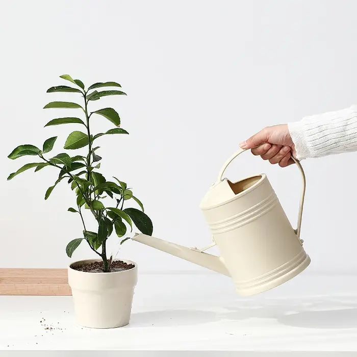 Arrosoir pratique à longue bouche, outils de jardinage pour fleurs et plantes, 2L