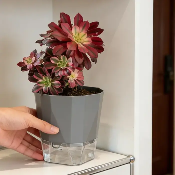 Pots de plantes auto-arrosants