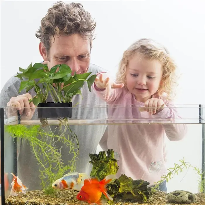 Support de plante d'aquarium suspendu Pot