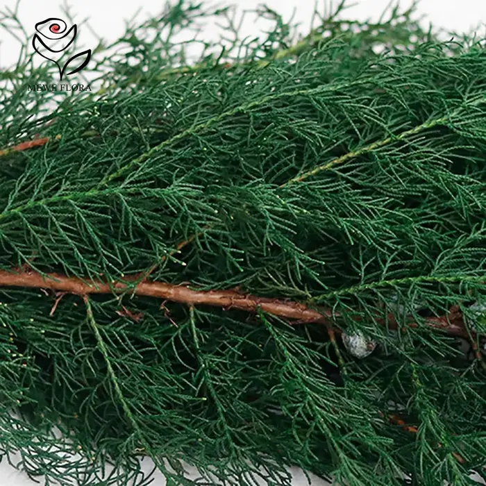 Fleurs Éternelles vaccées pour Arbre de Noël