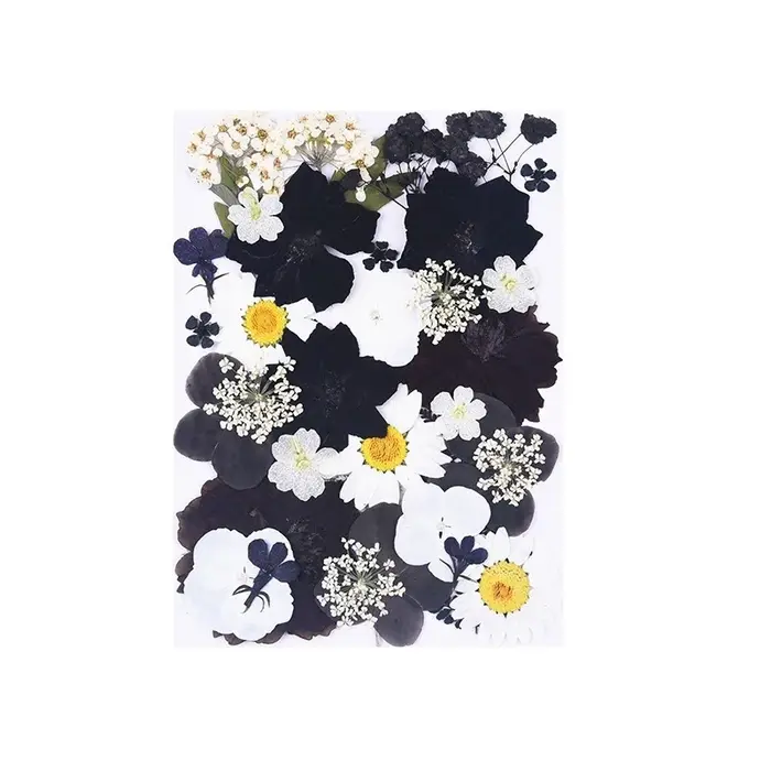 1 paquet de 34 à 40 fleurs séchées