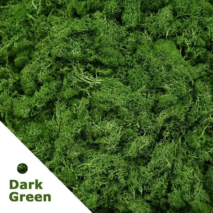 Plantes vertes artificielles, mousse éternelle, bricolage, artisanat, herbe, jardin, décoration de l