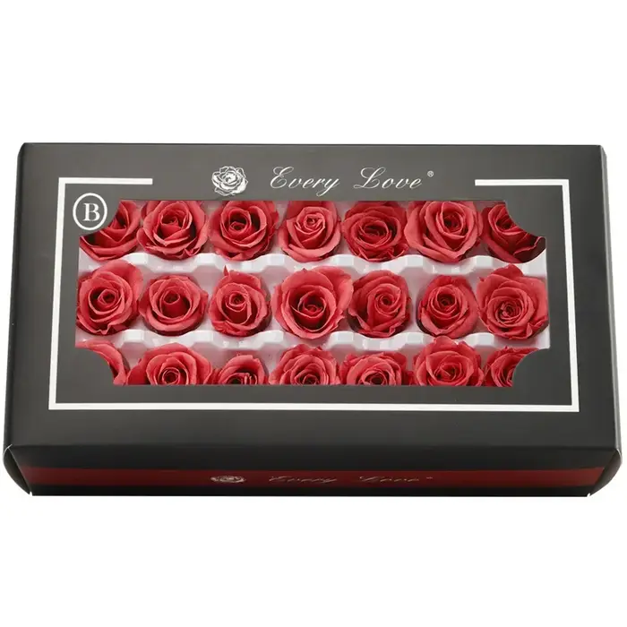 Mini Roses séchées réelles conservées