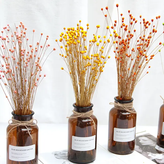 250 pièces vraie fleur sèche fleurs séchées naturelles photographie décorative décor à la maison Photo toile de fond