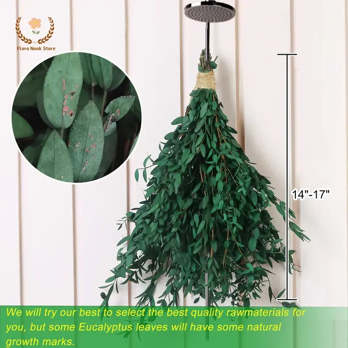 Bouquet de feuilles d'eucalyptus naturelles