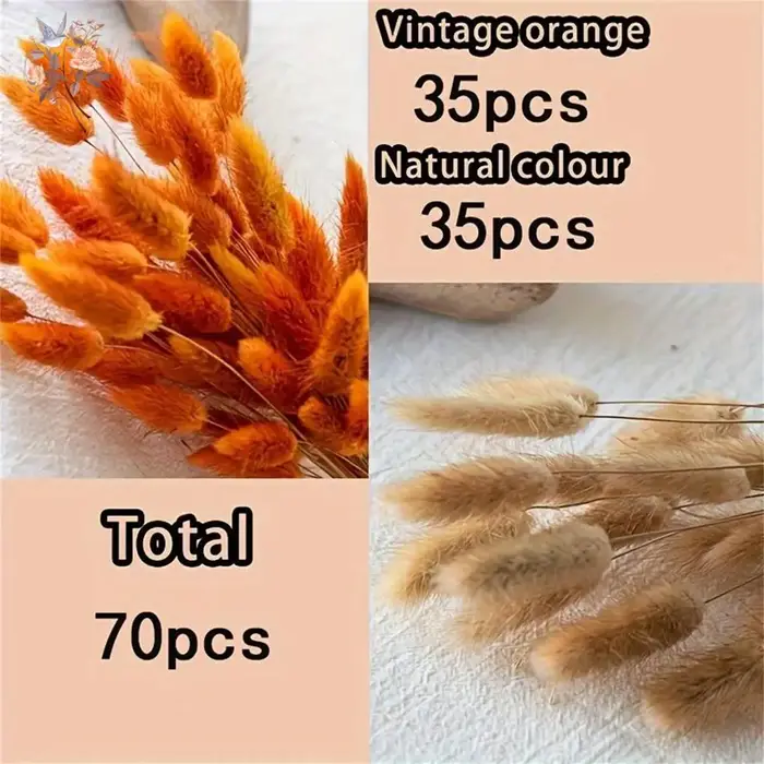 70 pièces de fleurs séchées naturelles mélangées : Herbe de queue de lapin, Pampas, Lagurus. Bouquet floral d'automne pour décoration de mariage, de maison et accessoires photo.