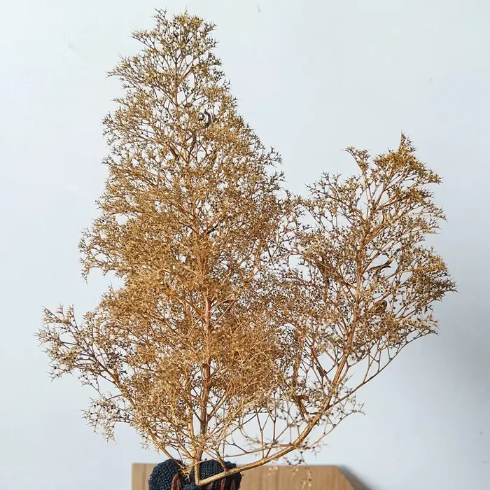 Arbres en mousse de mer