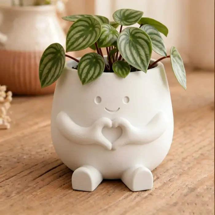 Pot de fleurs imprimé en 3D pour plantes grimpantes et succulentes – Jardinière légère en plastique – Décoration moderne pour la maison – Adapté intérieur/extérieur