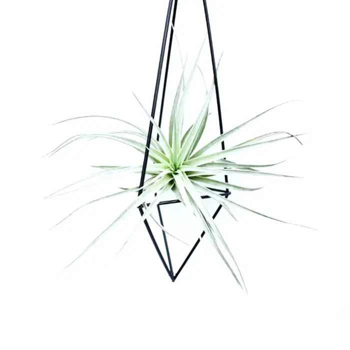Porte-plante à air géométrique