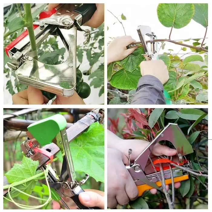 Tapetool pour plantes de jardin