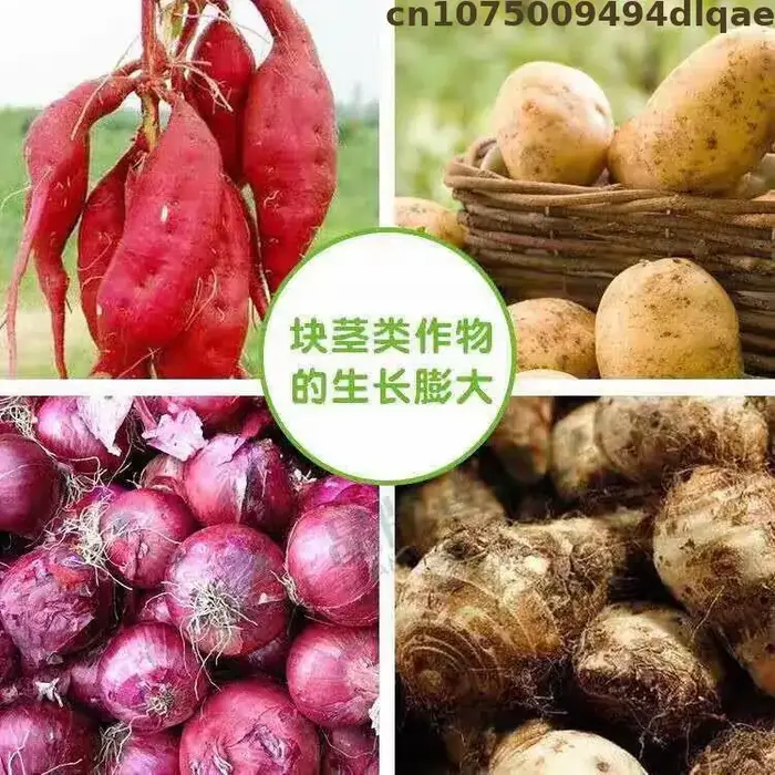 Sel de potassium d'acide indole-3-butyrique (IBA-K) soluble dans l'eau 98% TC - Hormone d'enracinement végétal en poudre pour le jardinage et l'agriculture