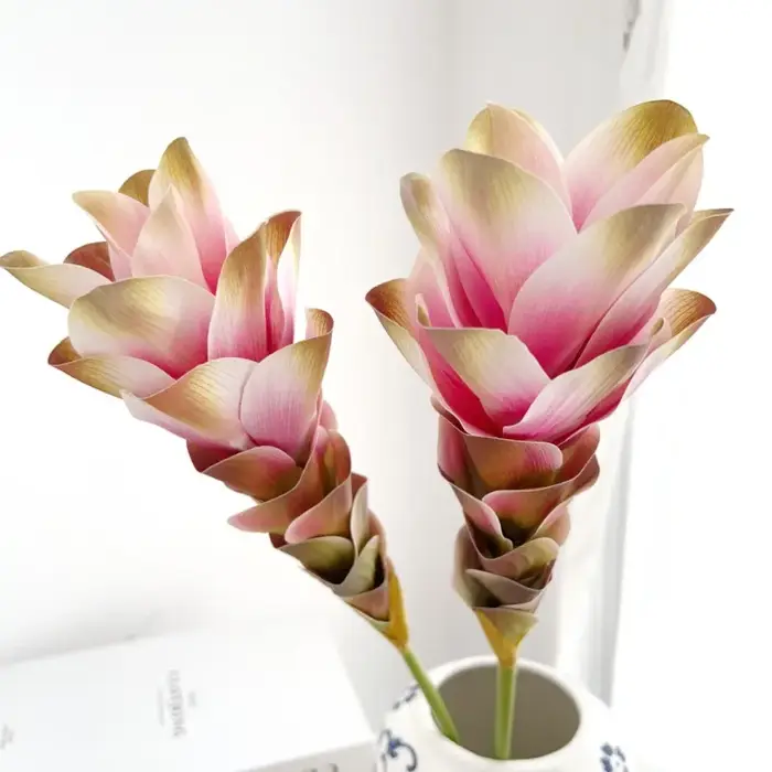 Simulation de fleur de gingembre dégradée