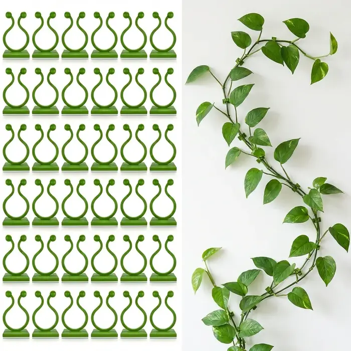 Clips muraux pour plantes grimpantes