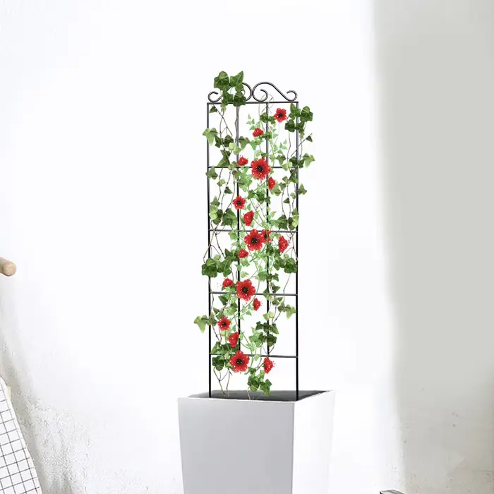 Treillis de jardin en métal pour plantes grimpantes