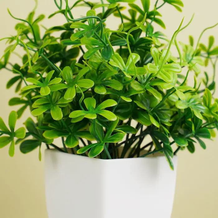 Bonsaï vert Él, fausse plante d'eucalyptus