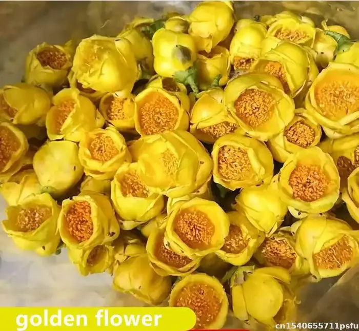 Fleurs séchées de camélia dorée naturelle de qualité supérieure pour la fabrication de savon, décora