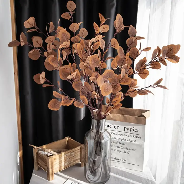 Feuilles d'eucalyptus vertes