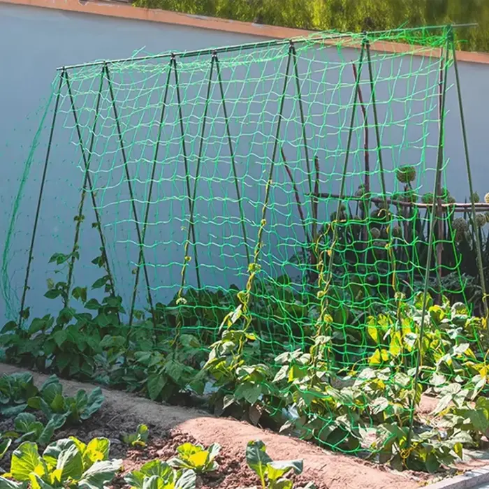 Pergolas de treillis pour plantes
