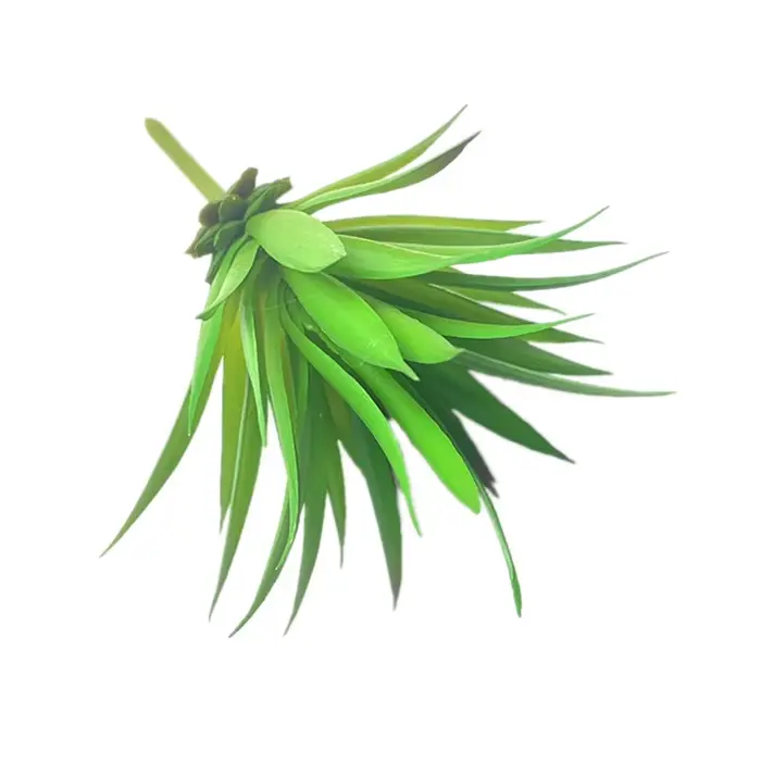 2 plantes artificielles