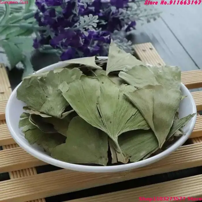 Feuilles de Ginkgo Biloba séchées de qualité supérieure pour la beauté