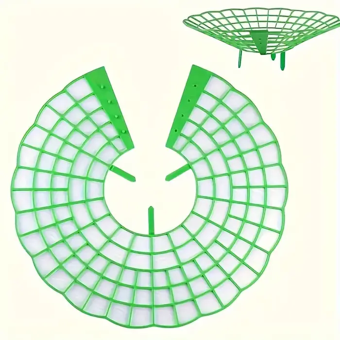 Supports de plantation de fraises vertes