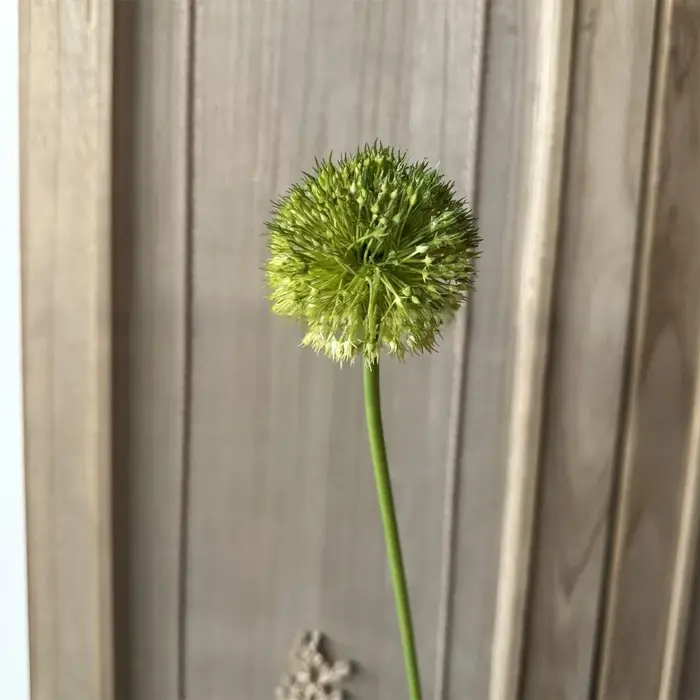 Boules d'oignons artificielles vertes pour décoration florale