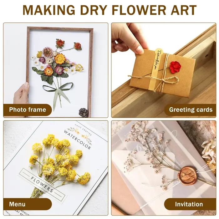 Kit de presse à fleurs professionnel en bois