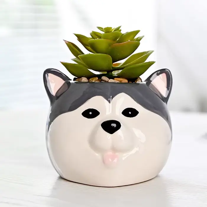 Pot de fleur succulente en céramique