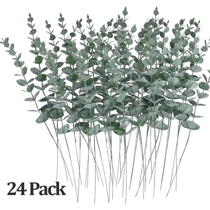 Feuilles d'eucalyptus vert foncé