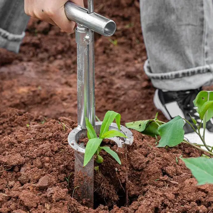 Outil de transplantation de plantes