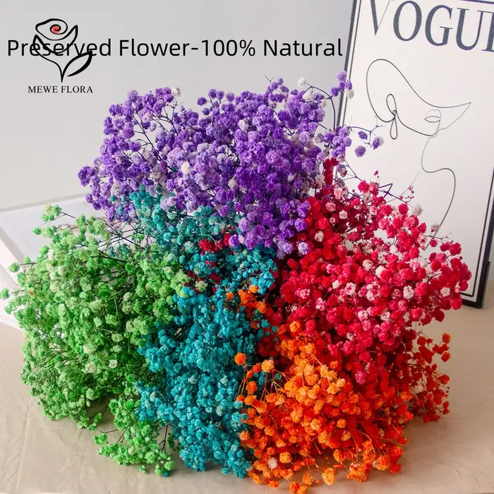 Mélange de fleurs séchées Gypsophila pour bébé