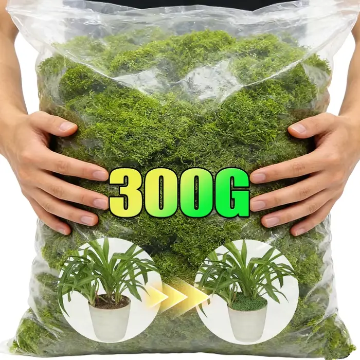 Plantes vertes artificielles