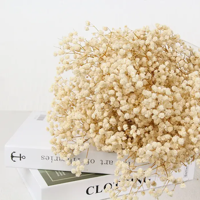 Bouquet de fleurs séchées pour bébé