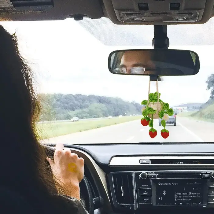 Panier suspendu au Crochet pour plantes de voiture