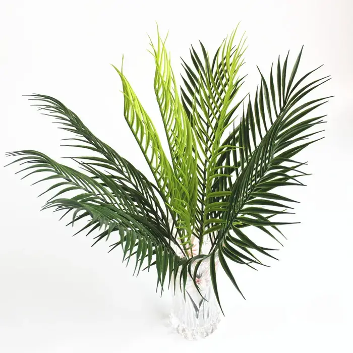 Feuilles de palmier Monstera Tropical