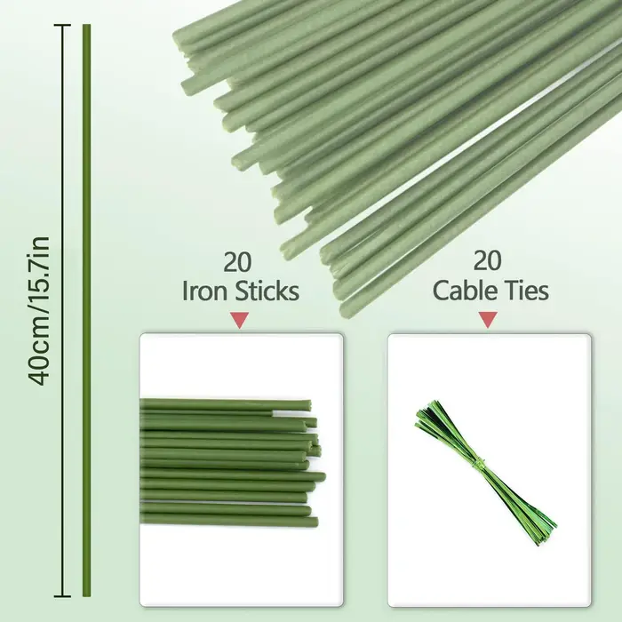 Bâtons de Support pour plantes