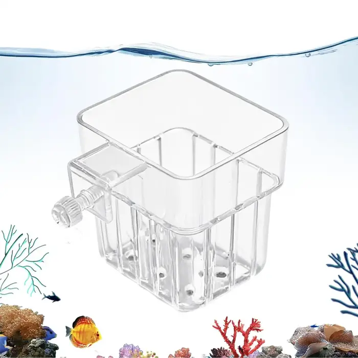 Pot porte-plante d'aquarium suspendu Transparent