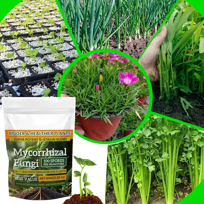 Rehausseur de racines pour plantes naturelles